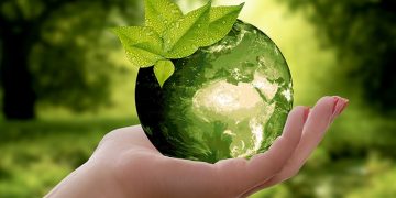 10 Easiest Ways to be Eco-Friendly