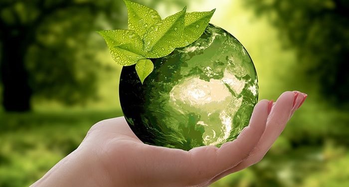 10 Easiest Ways to be Eco-Friendly