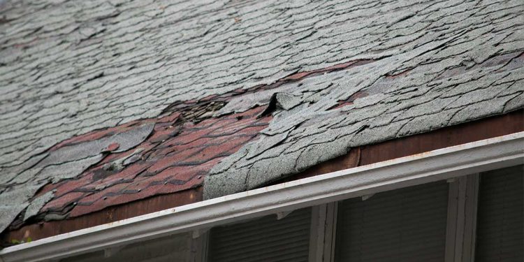7 Signs That You Need Roof Repair ASAP