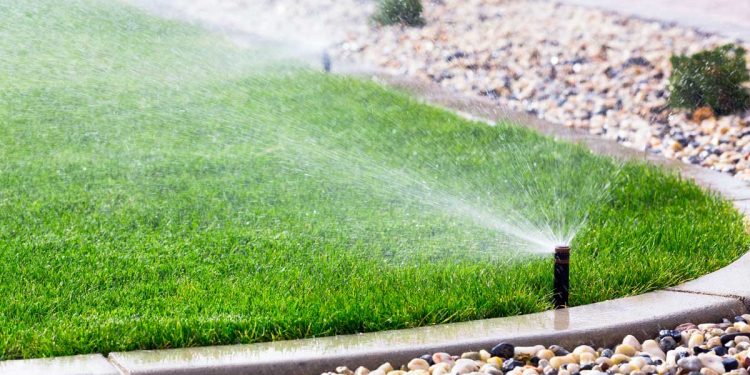 Top 6 Important Summer Plumbing Tips for Your Property
