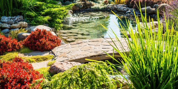 beautiful landscaping with beautiful plants and flowers