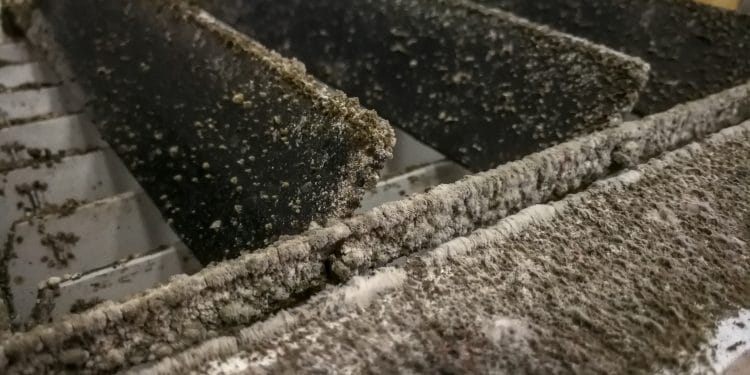 Dust fungus on the wind blade leaves in the air conditioner lack of care and Cleaning service.