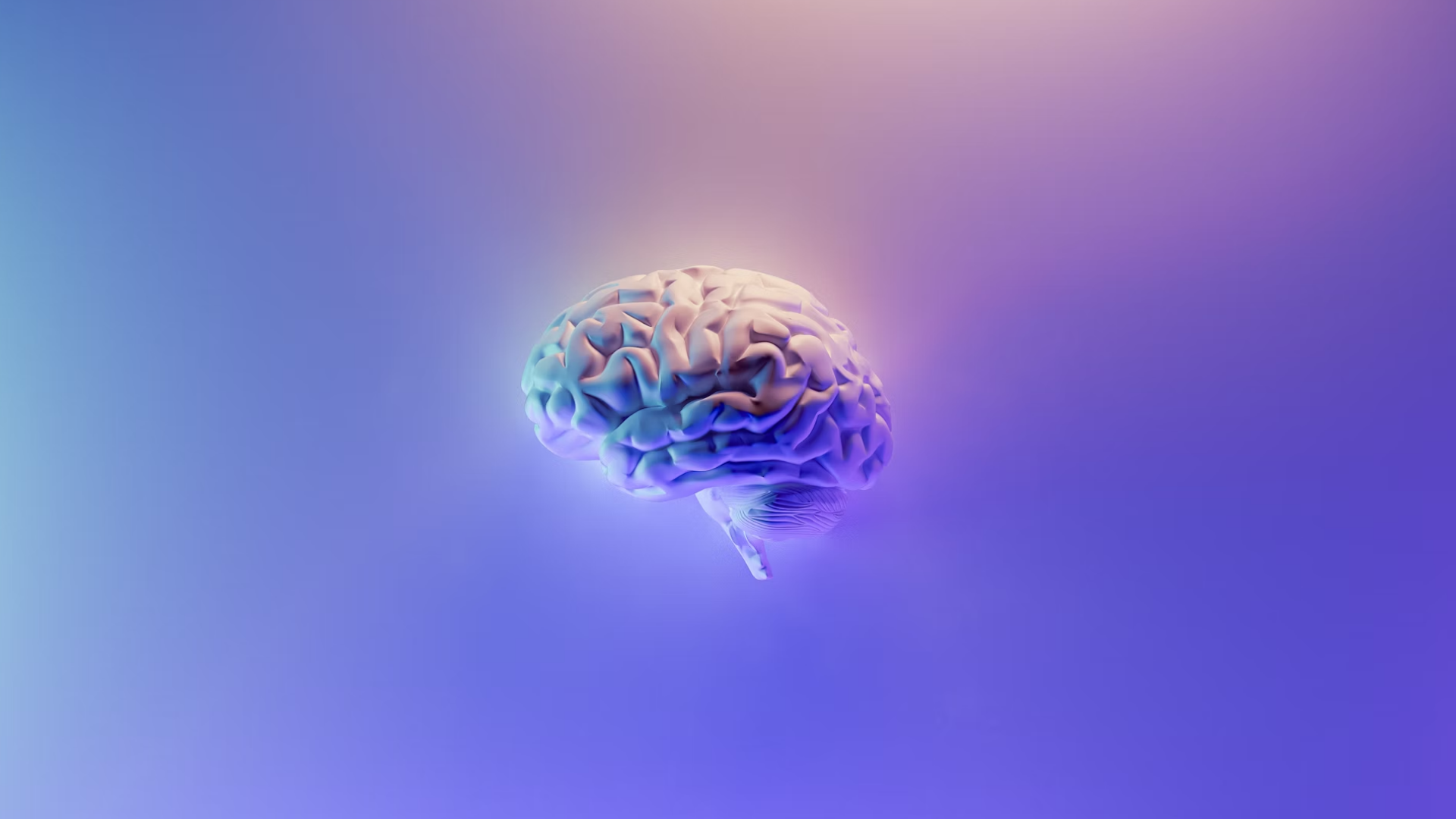 Seven Essential Strategies for Structuring New Knowledge