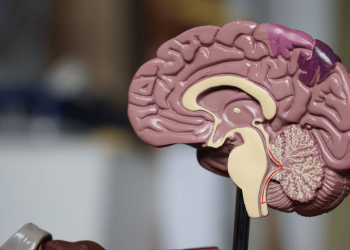 How to Structure New Knowledge for Long-Term Retention