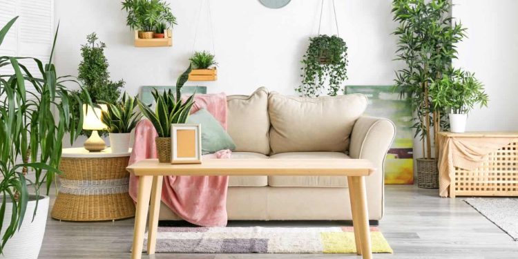 Bringing The Outdoors Into Your Home