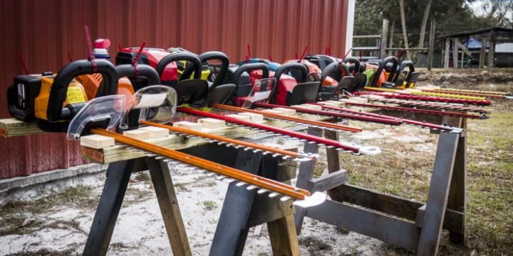 Best Cordless Hedge Trimmer Reviews