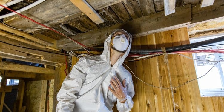 Dangers Of A Damp Home