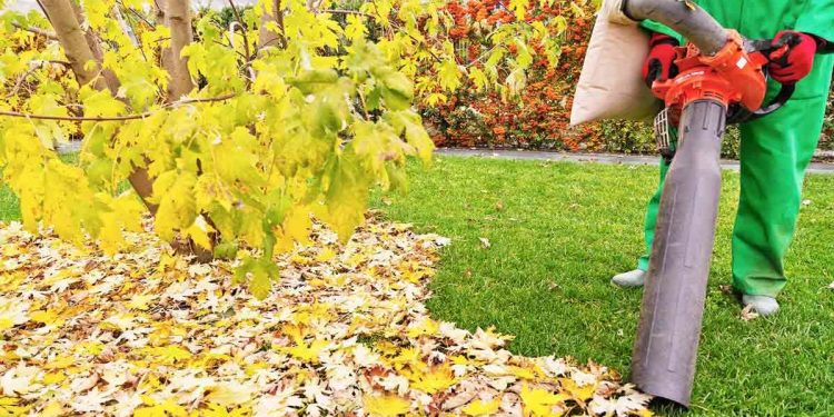 How Much Vacuum Does a Leaf Mulcher Have?