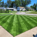 How to Upgrade Your Home’s Curb Appeal with a Lawn Renovation