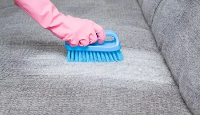 A Guide to Maintaining Sofas: Tips and Techniques