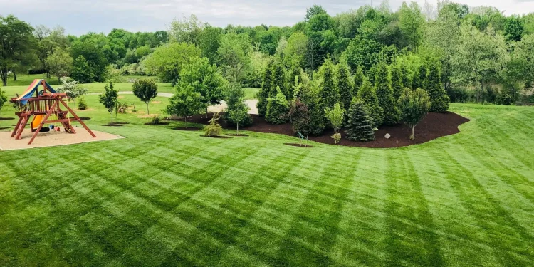 Are you tired of spending money on traditional lawn care products that promise to make your yard look beautiful but end up costing a fortune and leaving behind harmful toxins? If so, organic lawn care is an effective solution for keeping your grass growing lush and green without worrying about dangerous chemicals or high price tags. Not only can switching to all-natural methods save you time and money, but it's also better for both people and the environment - making investing in organic lawn care one of the best decisions you can make for yourself and your home. Why Go Organic? Choosing organic lawn care products comes with a host of benefits that extend beyond a healthy and vibrant lawn. These products not only maintain the natural beauty of your lawn, but also contribute to a safer environment and overall improved health. Let’s delve into the key advantages of going organic for your lawn care needs. Eco-friendly Organic lawn care products have minimal environmental impact. They are made from natural materials that decompose and enrich the soil instead of depleting it. They don't contaminate water sources or harm local wildlife. By choosing organic, you're contributing to a sustainable ecosystem. Healthier Lawns Organic products help develop a stronger, more robust lawn. They improve the soil structure and encourage beneficial microorganisms, leading to healthier, more resilient grass. Your lawn becomes less dependent on external aids and more self-sustaining. Safer for Children and Pets Traditional lawn care products often contain harmful chemicals that pose a risk to children and pets who spend time playing on the grass. Organic products, being free of these harmful chemicals, are much safer, allowing your kids and pets to enjoy the outdoors without worry. Cost-effective While organic lawn care products may sometimes seem more expensive up front, they prove to be cost-effective in the long run. They cultivate a self-sustaining lawn requiring less watering and fewer treatments, saving you money over time. Improves Soil Health Organic lawn care aims at maintaining and improving soil health. Organic fertilizers add natural nutrients to the soil, enhancing its quality and fertility. This results in healthier plants and a more vibrant lawn. Reduces Carbon Footprint By choosing organic lawn care, you're reducing your carbon footprint. Traditional lawn care methods emit harmful gases and contribute to air pollution. Organic products are made from renewable resources and have a lower impact on the environment. Eco-Friendly Lawn Maintenance Tips To make the most of organic lawn care, it's important to take into account certain fundamental practices that can help maintain your yard in an eco-friendly manner. This not only ensures the health and beauty of your lawn but also contributes to a sustainable environment. Let's explore some of the best practices for sustainable lawn care. Use Organic Fertilizers A crucial part of organic lawn care is replacing chemical fertilizers with organic alternatives. Organic fertilizers release nutrients slowly, improving the health of the grass over time and reducing the risk of over-fertilization. They also enrich the soil with natural elements that contribute to a more robust, resilient turf. Opt for Drought-Tolerant Grass Varieties Choosing drought-tolerant grass varieties can significantly reduce the amount of water your lawn requires. Grasses like Bermuda, Buffalo, and Zoysia are known for their water efficiency and can thrive even in dry conditions. Compost Your Lawn Clippings Instead of throwing away your lawn clippings, consider composting them. This not only reduces waste but also gives you a rich, organic material that can be used to improve the soil fertility of your lawn. Use a Manual or Electric Mower Gas-powered mowers emit harmful pollutants, making manual or electric mowers a more eco-friendly choice. While a manual reel mower is a zero-emission option, electric mowers also have a significantly lower environmental impact than their gas counterparts. Practice Smart Irrigation Overwatering is not only wasteful but can also harm your lawn. Practice smart irrigation by watering deeply but infrequently, preferably in the early morning. This encourages deeper root growth and makes your lawn more drought-tolerant. Embrace Natural Weed and Pest Control Opt for natural methods to control pests and weeds in your lawn. This could include introducing beneficial insects, using corn gluten meal as a pre-emergent herbicide, or employing vinegar-based solutions to manage weed growth. FAQ Are organic lawn maintenance products as effective as traditional ones? Yes, organic products have been proven to be just as effective in maintaining a healthy and vibrant lawn. They may take slightly longer to show results but also promote long-term soil health and resilience. Will switching to organic lawn care eliminate all weeds and pests? No, switching to organic methods does not guarantee complete elimination of weeds or pests. However, it does provide a healthier environment for your lawn to resist and manage these issues naturally. Is organic lawn care expensive? Organic products may seem more expensive upfront, but they prove to be cost-effective in the long run. Additionally, practicing smart lawn maintenance techniques can further reduce costs. Can I use organic methods even if my lawn is currently unhealthy? Yes, you can transition to organic methods at any stage. It may take some time for the lawn to adjust and improve, but the long-term benefits are worth it. Is organic lawn care only beneficial for my lawn? No, choosing organic also contributes to a sustainable environment by reducing harmful impacts on air and water quality. It also promotes healthier soil and supports local wildlife. Enjoy a beautiful lawn while making a positive impact on the planet. Final Thoughts Opting for organic lawn care benefits your lawn and has numerous positive impacts on the environment. It promotes a healthier and more sustainable ecosystem while reducing your carbon footprint and creating a safer outdoor space for children and pets. With the right practices, you can achieve a vibrant, resilient lawn without compromising on your values or the health of our planet. Contact a lawn care expert to learn more about how you can make the switch to organic and reap the countless benefits.