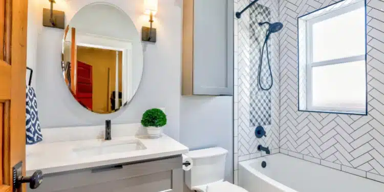 Mold-Free Living: Your Path to a Cleaner, Safer Home Environment