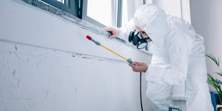 Why Is Regular Pest Control Required?