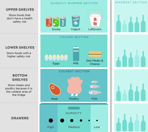 Refrigerator Storage Chart