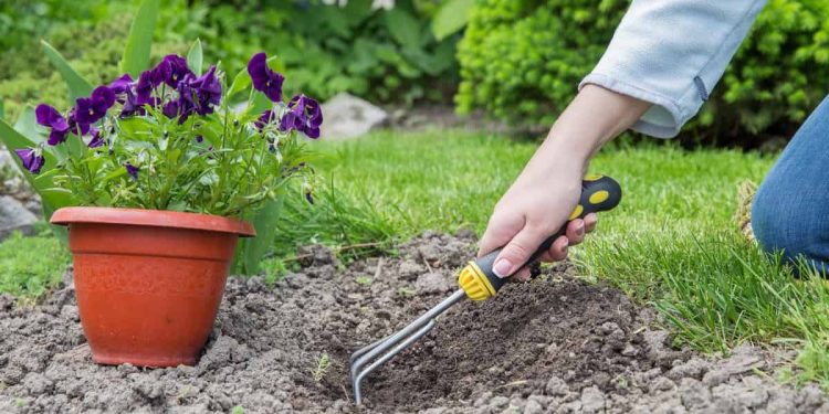 Renting vs Buying Gardening Tools: Which Option Is Right for You?