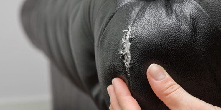 Woman's hand showing to the black leather sofa damaged corner. Problem concept.