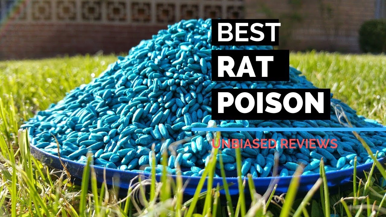 antidote for rat poison