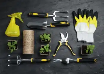 Top 9 Must-Have Gardening Tools For Gardeners