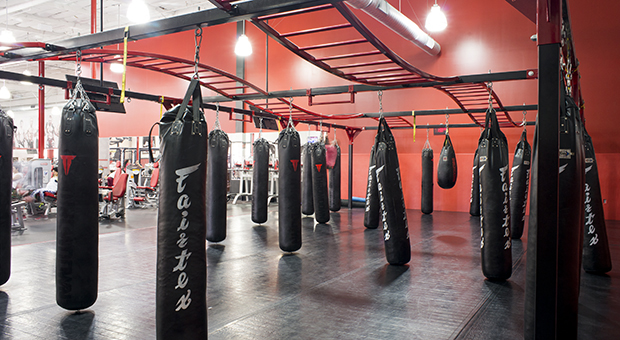 The Best Styles of Construction for Gym of Muay Thai Business -  HouseAffection