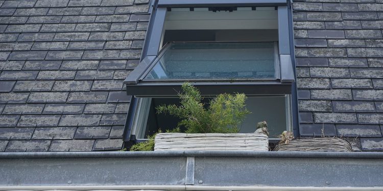 How to Keep Your Roof in Top Condition for Longer