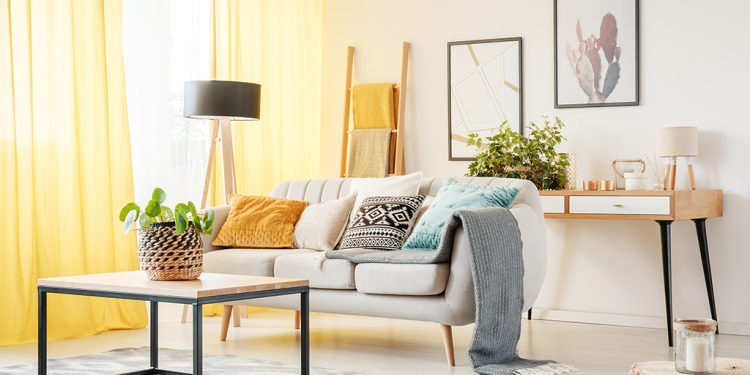 Plant on table and lamp in warm living room with yellow curtains, posters and pillows on sofa