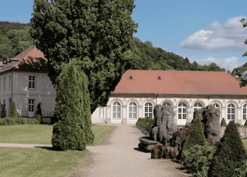 How Proper Tree Maintenance Improves Curb Appeal and Property Value in Florida Homes