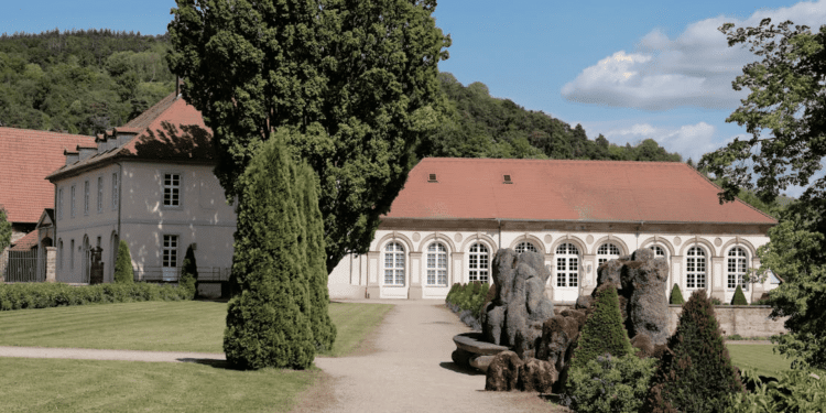 How Proper Tree Maintenance Improves Curb Appeal and Property Value in Florida Homes