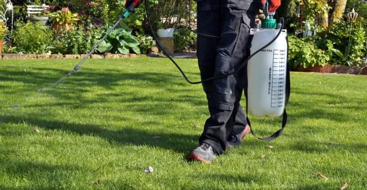 weed killer takes time to work