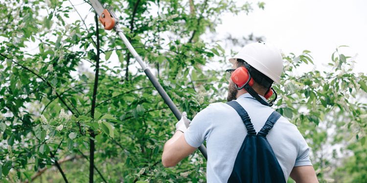 HOW TO USE A POLE SAW