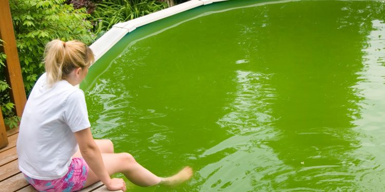 People Are Pooping In Public Pools As Part Of A New 'Viral Trend'