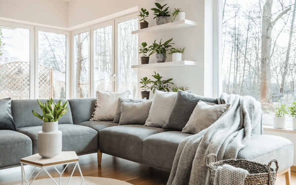 Upgrade to Elegance on a Budget