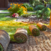 Choosing the Right Sod Company in Florida for Grass Sod Installation