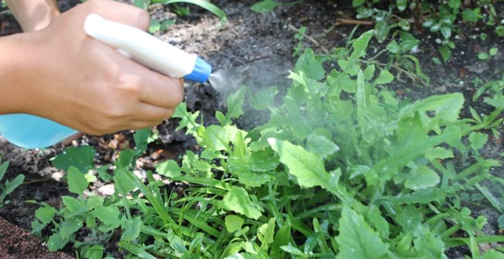 weed killer