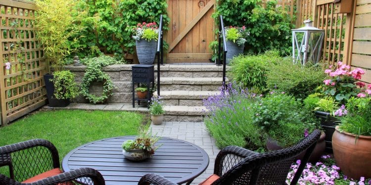 Perennials for Garden