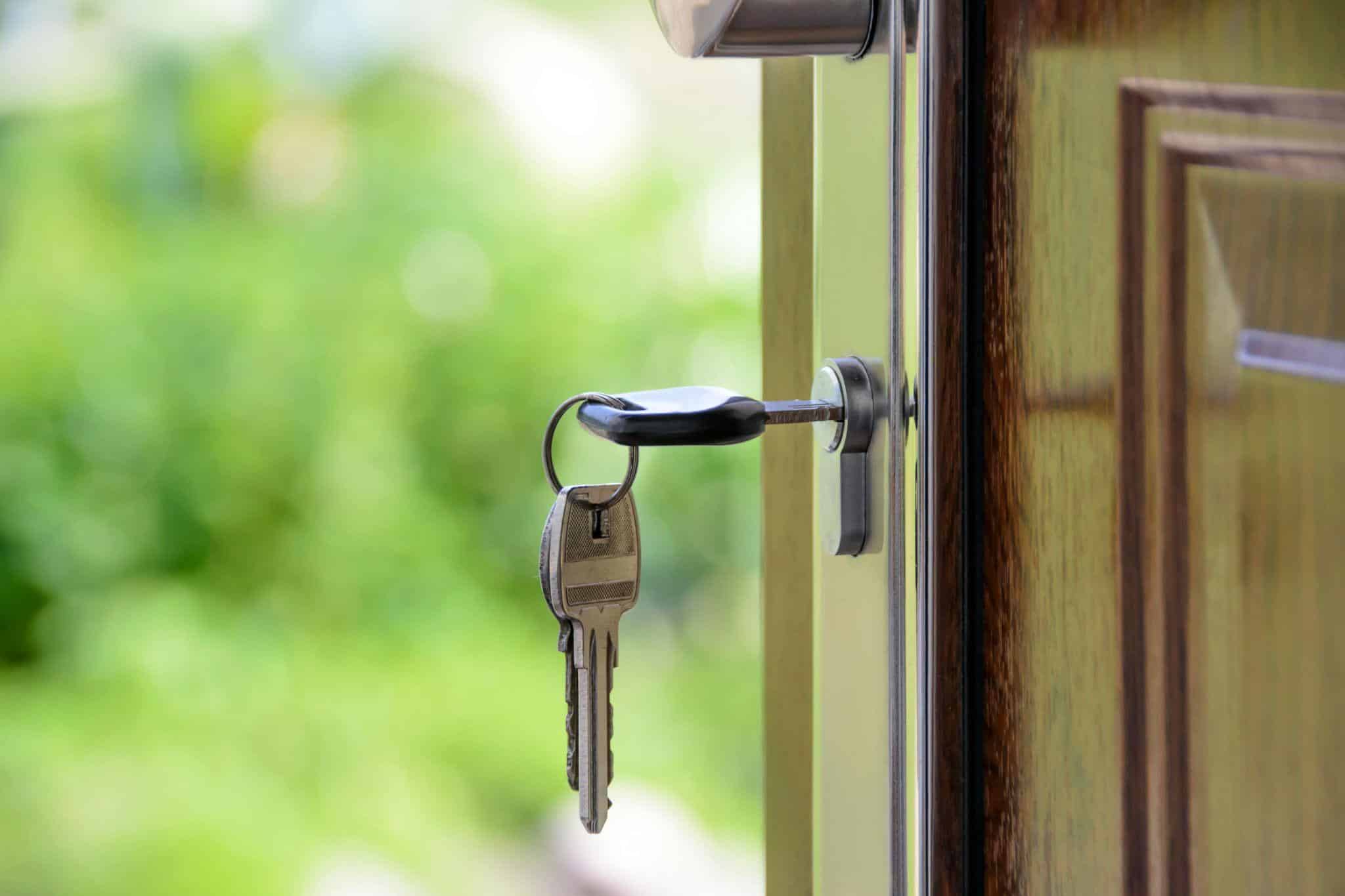 a bunch of keys dangling as one of these bunch is lodged into an open door with greenery in the background.