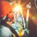 This Is How to Remove a Tree From Your Yard