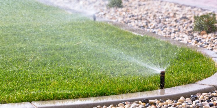 Know Your Zone: How a Sprinkler System Is Crucial for a Lush Lawn