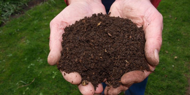 Mulch vs Compost: What's the Difference and Which Is Better?