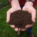 Mulch vs Compost: What's the Difference and Which Is Better?